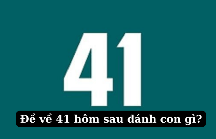 de-ve-41-hom-sau-danh-con-lo-gi