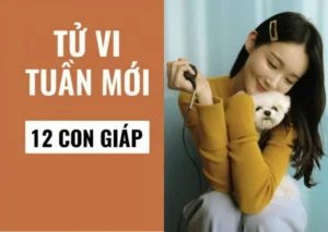 lo-de-12-con-giap