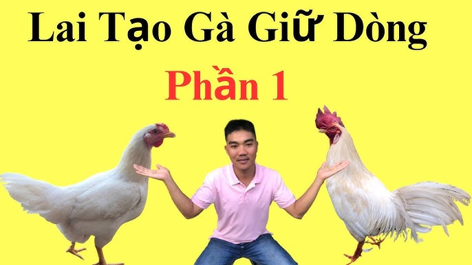 cach-lai-tao-ga-da-cua
