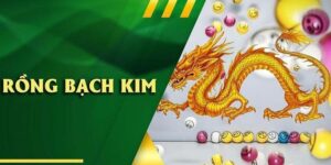 soi-cau-rong-bach-kim-288